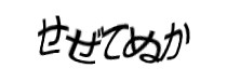 認証画像